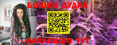 скорость Кингисепп