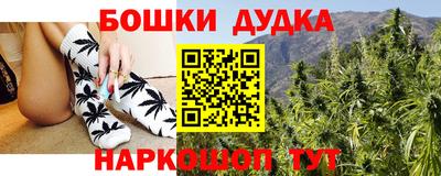 скорость Кингисепп