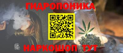 скорость Кингисепп