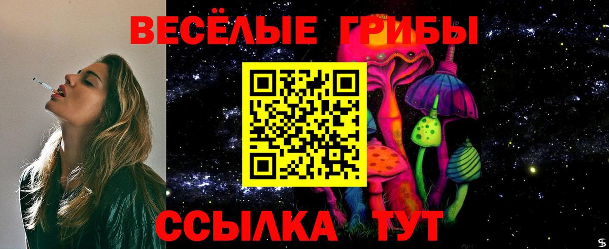 Псилоцибиновые грибы Psilocybine cubensis Шатура