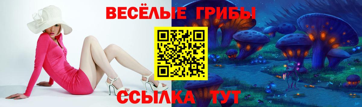 Галлюциногенные грибы ЛСД  Вход с VPN  Псилоцибиновые грибы мицелий  Шатура 